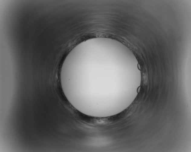 X0000100320618200806051351