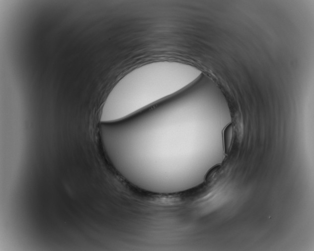 X0000100320619200806051351