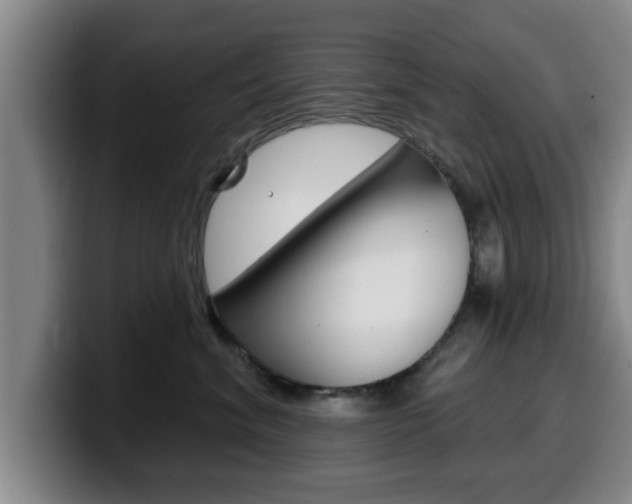X0000100320620200806051351