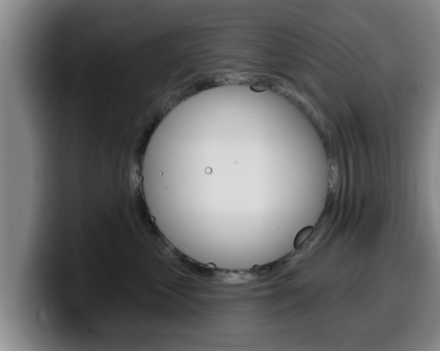 X0000100320621200806051351