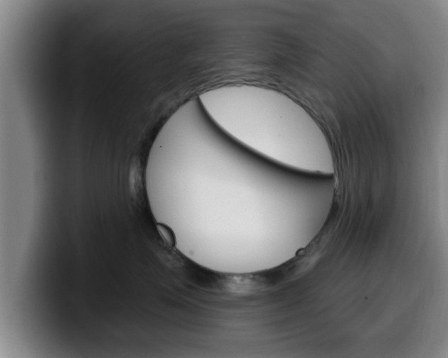 X0000100320623200806051351