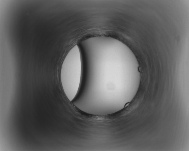 X0000100320624200806051351