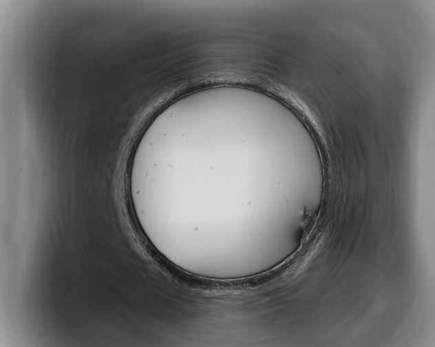 X0000100320625200806051350