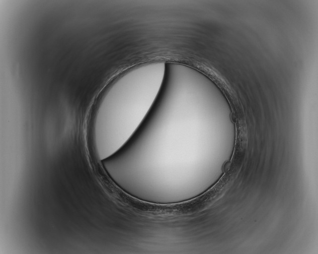 X0000100320626200806051350