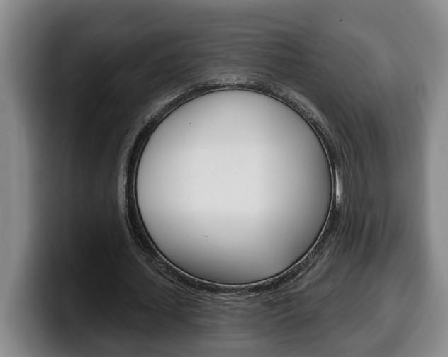X0000100320627200806051350