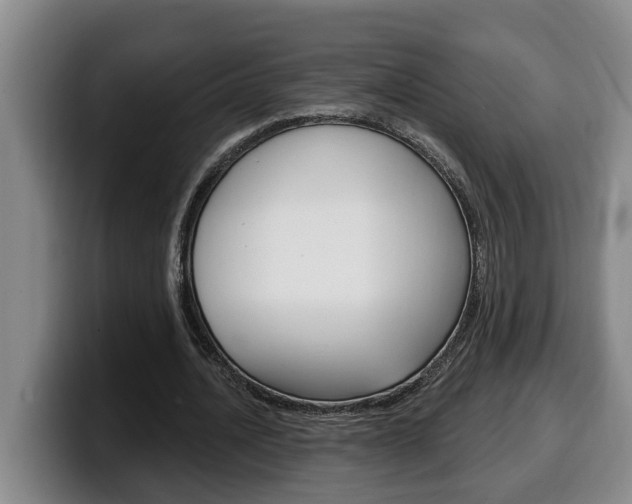 X0000100320628200806051350