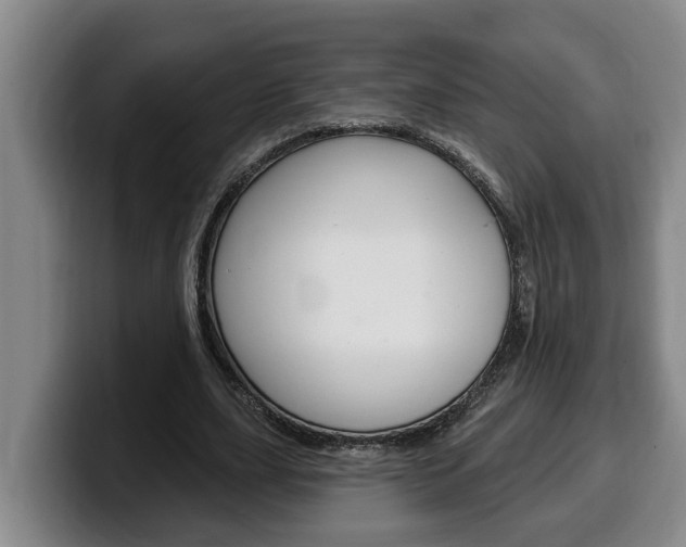 X0000100320631200806051350
