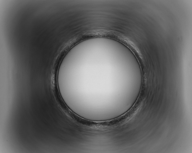 X0000100320633200806051350
