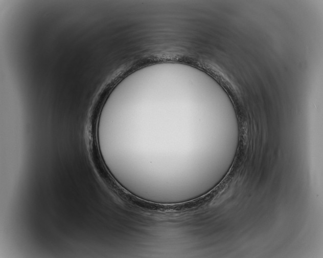 X0000100320634200806051350