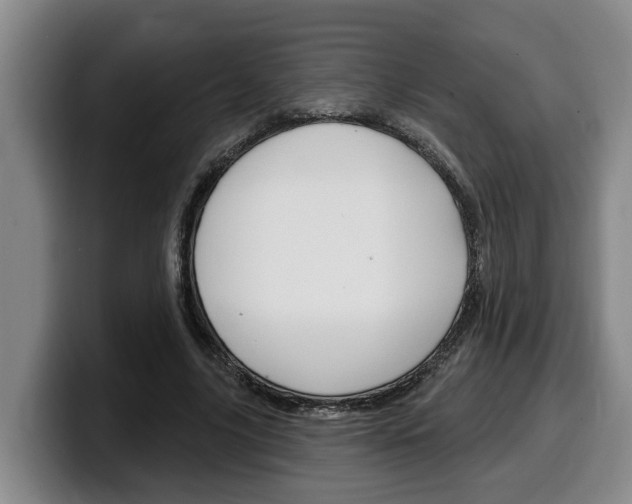 X0000100320635200806051350