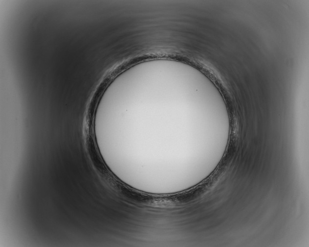 X0000100320636200806051350