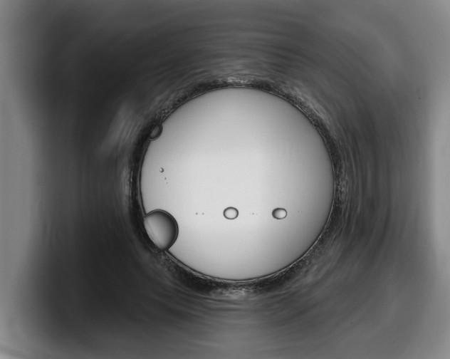 X0000100320639200806051350