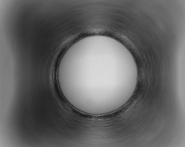 X0000100320640200806051350