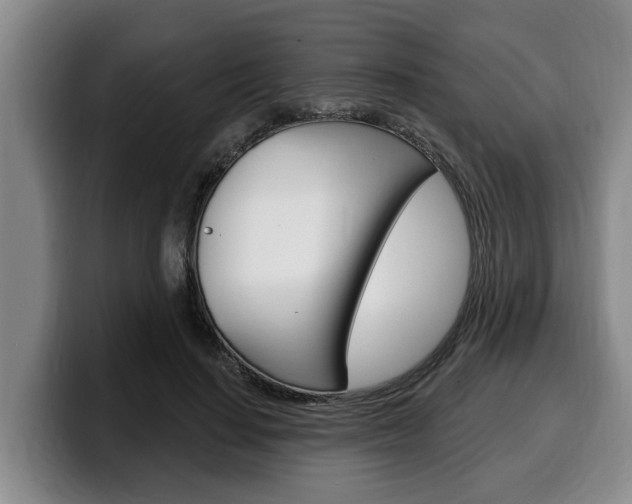 X0000100320644200806051350