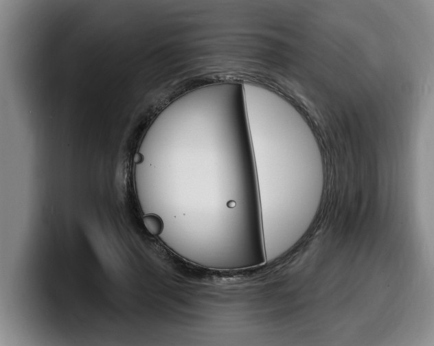 X0000100320645200806051351