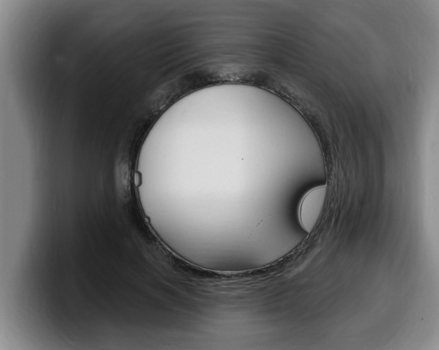 X0000100320646200806051351