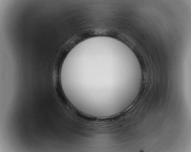 X0000100320648200806051351