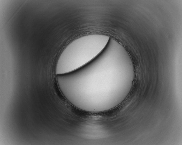 X0000100320650200806051351