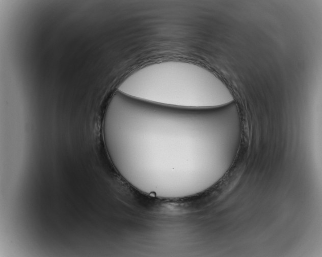 X0000100320657200806051351