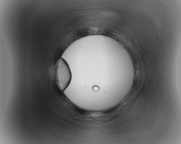 X0000100320659200806051351
