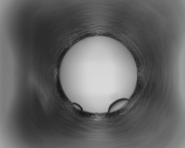 X0000100320660200806051351