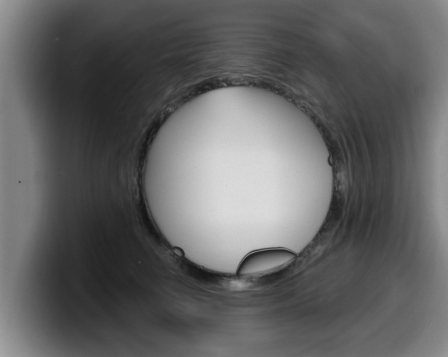 X0000100320662200806051351
