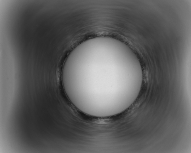 X0000100320664200806051351