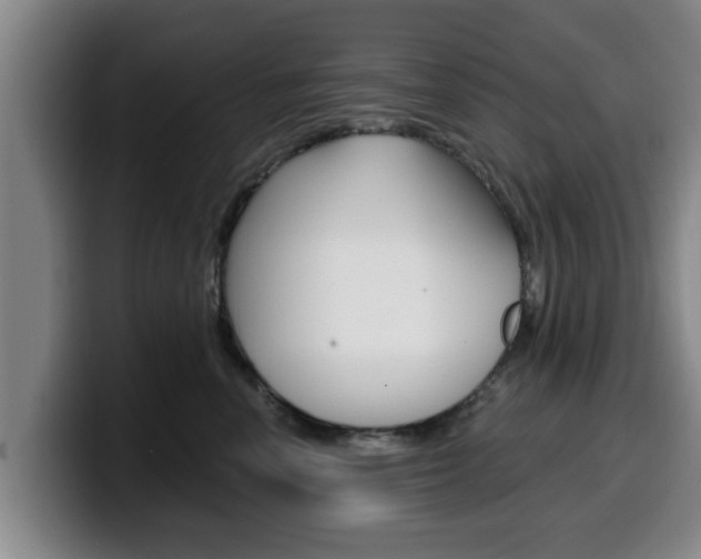 X0000100320666200806051351