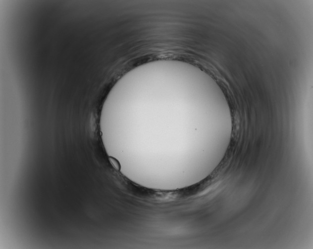 X0000100320667200806051351