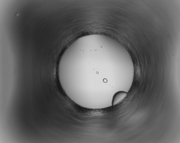 X0000100320668200806051351