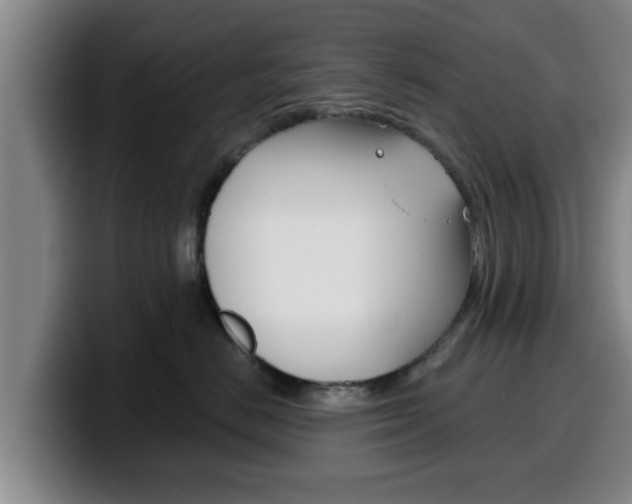 X0000100320670200806051351