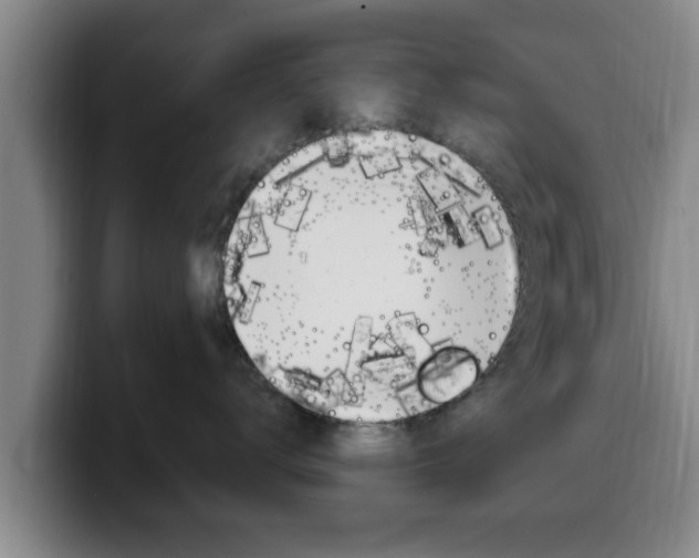 X0000100320672200806051351