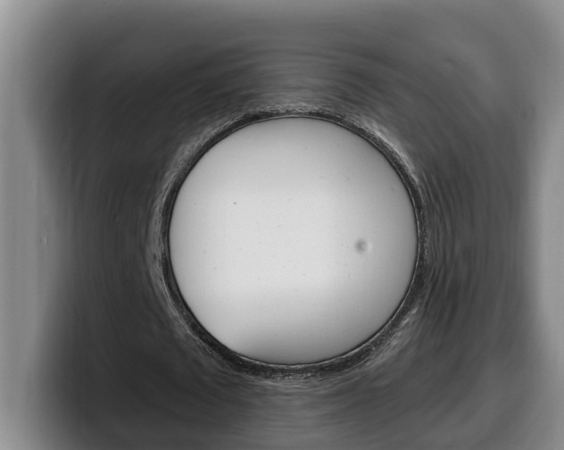 X0000100320673200806051350