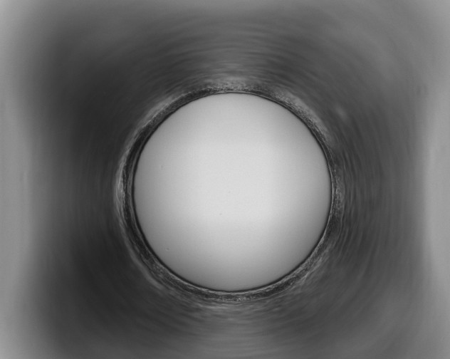 X0000100320674200806051350