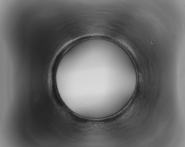 X0000100320676200806051350