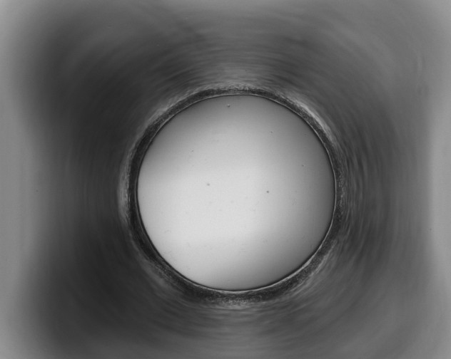 X0000100320677200806051350