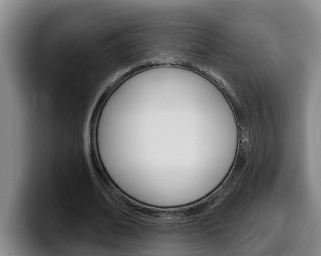 X0000100320678200806051350