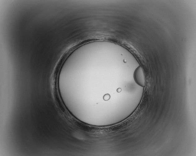 X0000100320679200806051350