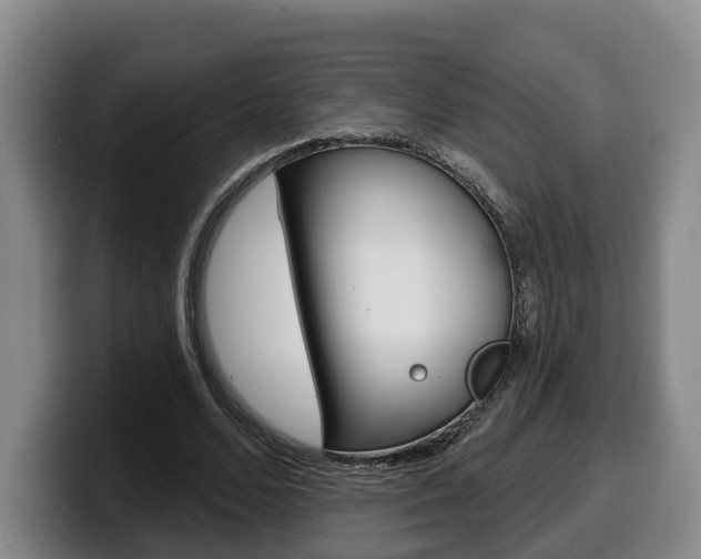 X0000100320680200806051350