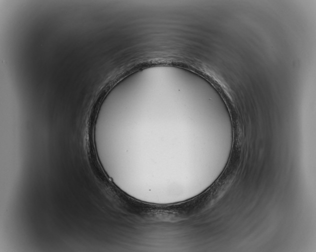 X0000100320681200806051350