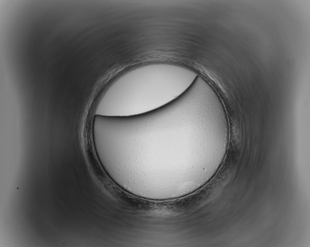 X0000100320682200806051350