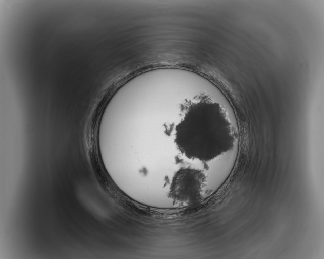 X0000100320683200806051350