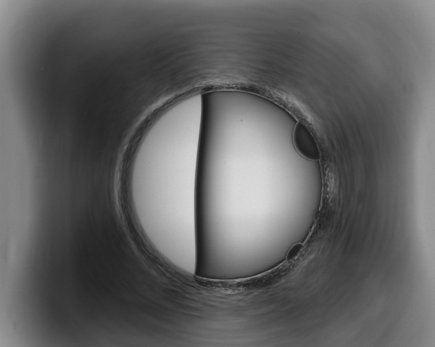 X0000100320684200806051350
