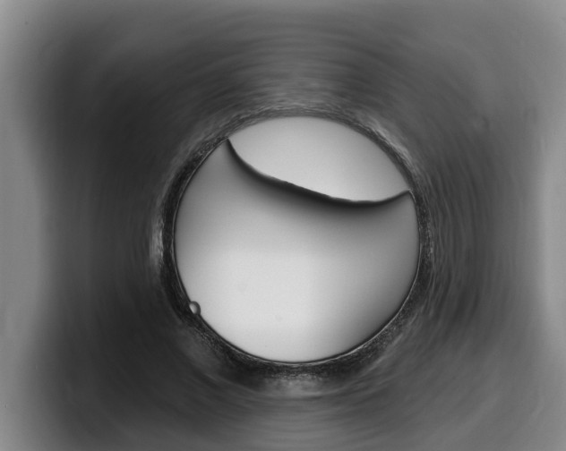 X0000100320685200806051350