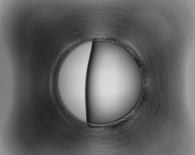 X0000100320688200806051350