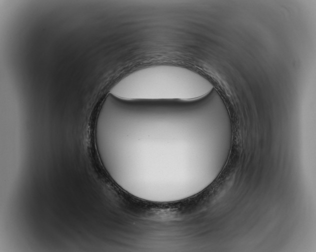 X0000100320689200806051350