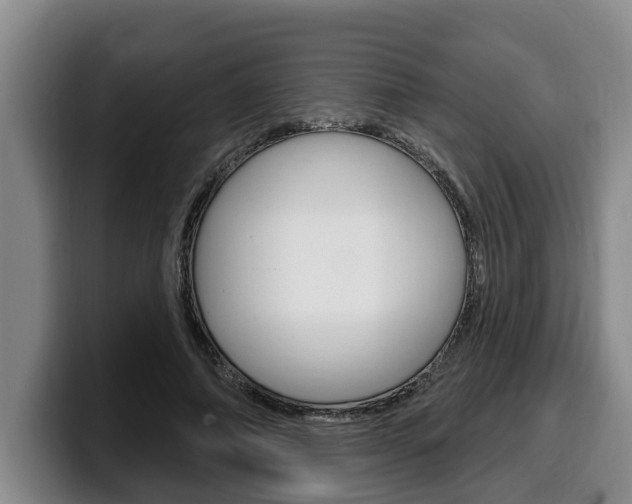 X0000100320690200806051350