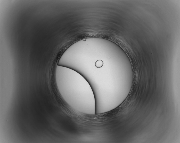 X0000100320691200806051350