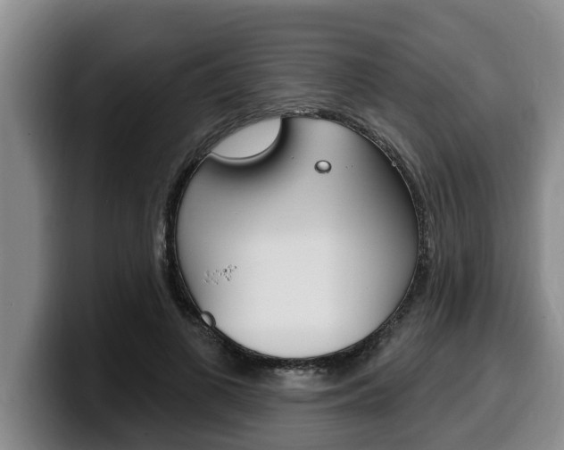 X0000100320693200806051350