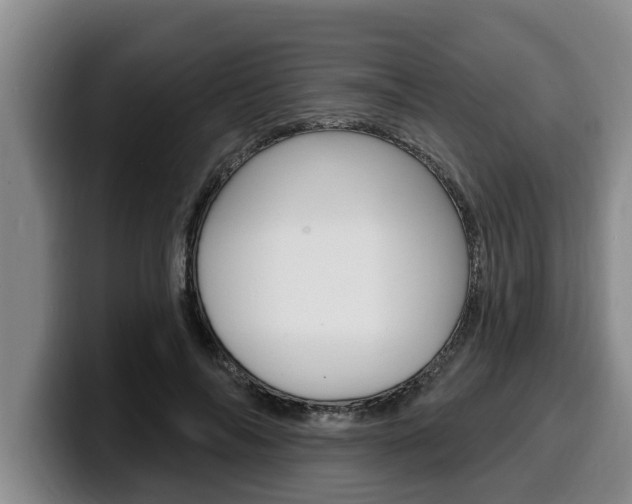 X0000100320694200806051350